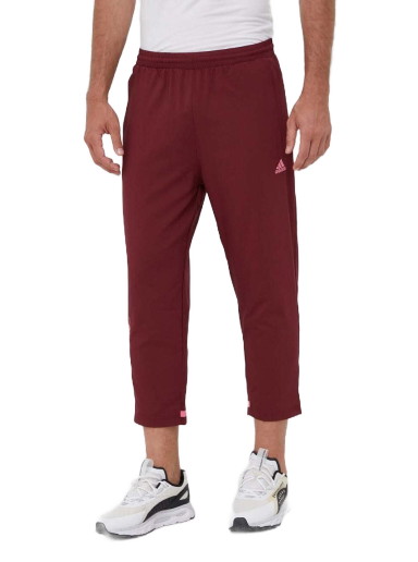 Sweatpants adidas Originals Scribble Joggers Burgundia | HY1289