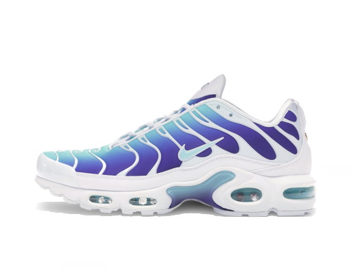 Sneakerek és cipők Nike Air Max Plus Bleached Aqua Fierce Purple W Kék | AQ9979-100