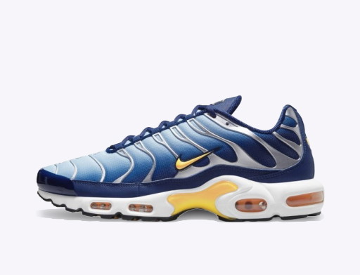 Sneakerek és cipők Nike Air Max Plus Kék | DM3530-400