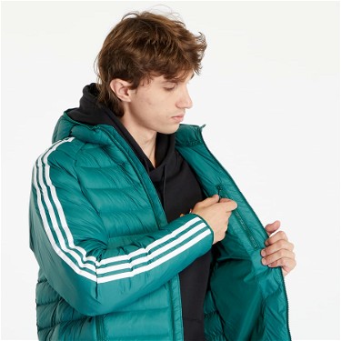 Puff dzsekik adidas Originals Pad Hooded Zöld | IL2569, 3