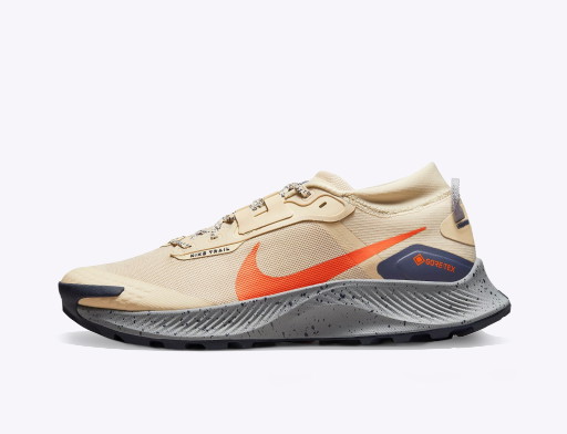 Fuss Nike Pegasus Trail 3 GTX Barna | dc8793-200