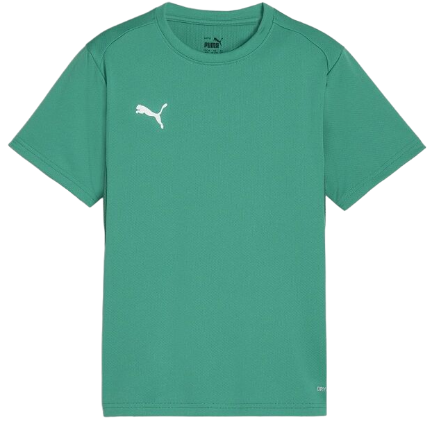 Póló Puma teamGOAL T-Shirt Zöld | 658636-05, 0