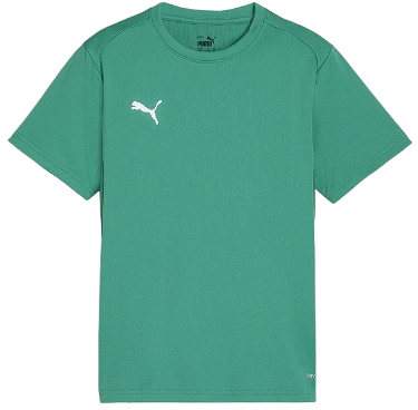 Póló Puma teamGOAL T-Shirt Zöld | 658636-05, 0