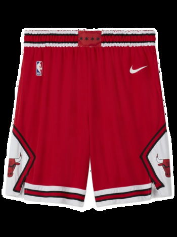 Nike Chicago Bulls Icon Edition NBA Swingman Shorts AJ5593-657