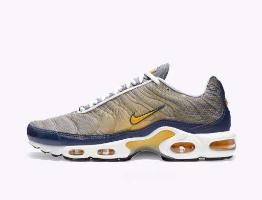 Sneakerek és cipők Nike Air Max Plus ''Wave Grid'' Kék | BV1983-500