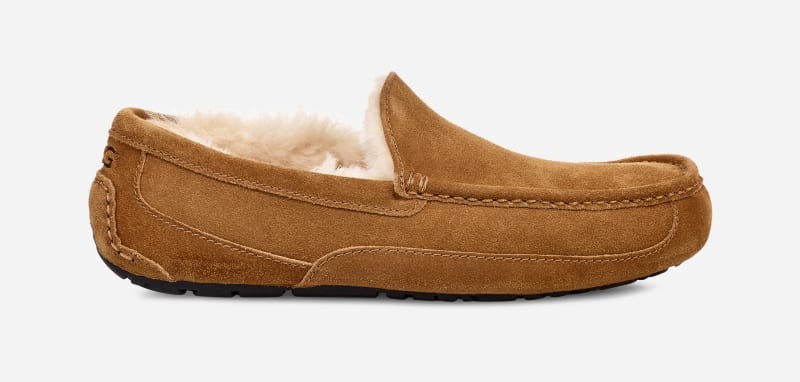 Sneakerek és cipők UGG ® Ascot Slipper in Brown, Size 10, Leather Barna | 1101110W-CHE, 0