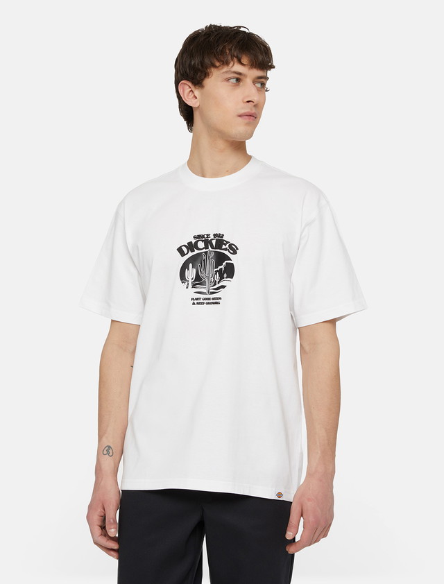 Póló Dickies Timberville T-Shirt Fehér | 0A4YR3