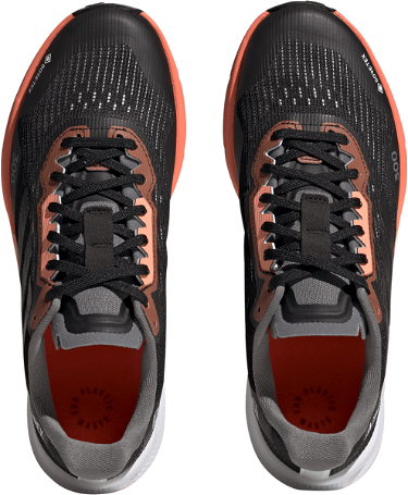 Sneakerek és cipők adidas Performance TERREX AGRAVIC FLOW 2 GTX W Fekete | hr1146, 4
