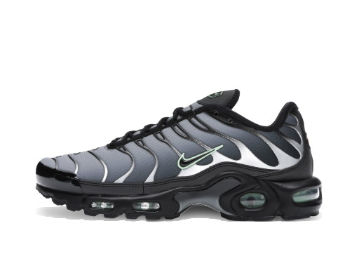 Sneakerek és cipők Nike Air Max Plus "Black Particle Grey Vapour Green" Szürke | CZ7552-001