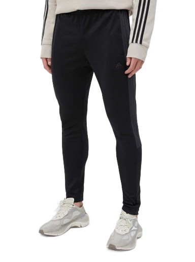 Sweatpants adidas Originals Sweatpants Fekete | IM2899