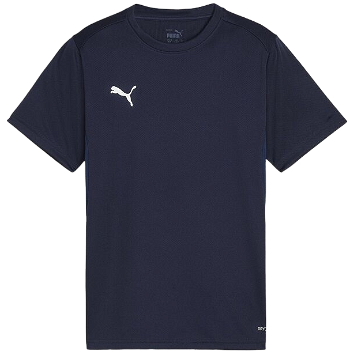 Puma teamGOAL T-Shirt 658636-06