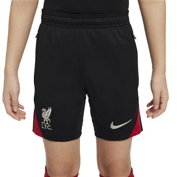 Nike Liverpool FC DF STRK SHORT fn9953-010