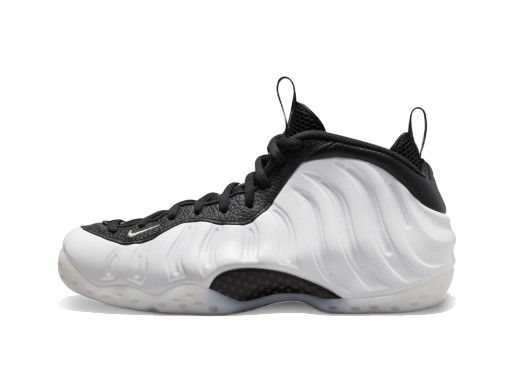 Air Foamposite One Penny PE