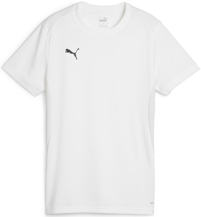 Sportmezek Puma Dres teamGOAL Jersey W Szürke | 658638-04