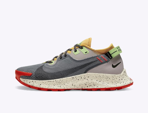 Fuss Nike Pegasus Trail 2 GTX W Barna | cu2018-002