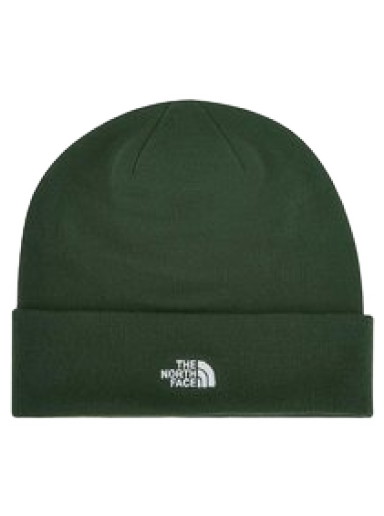 Beanie sapkák The North Face NORM BEANIE Zöld | NF0A5FWI0P