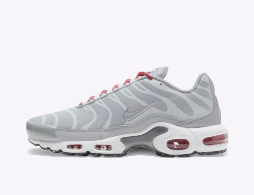 Sneakerek és cipők Nike Air Max Plus Szürke | DD7112-001