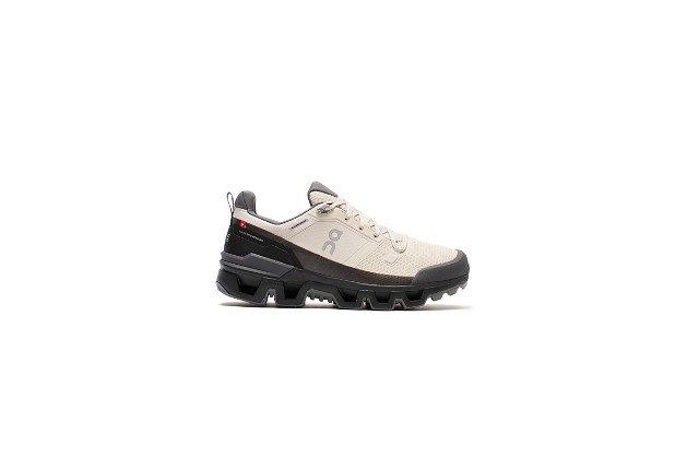 Sneakerek és cipők On Running Cloudwander Waterproof Bézs | 73.97668