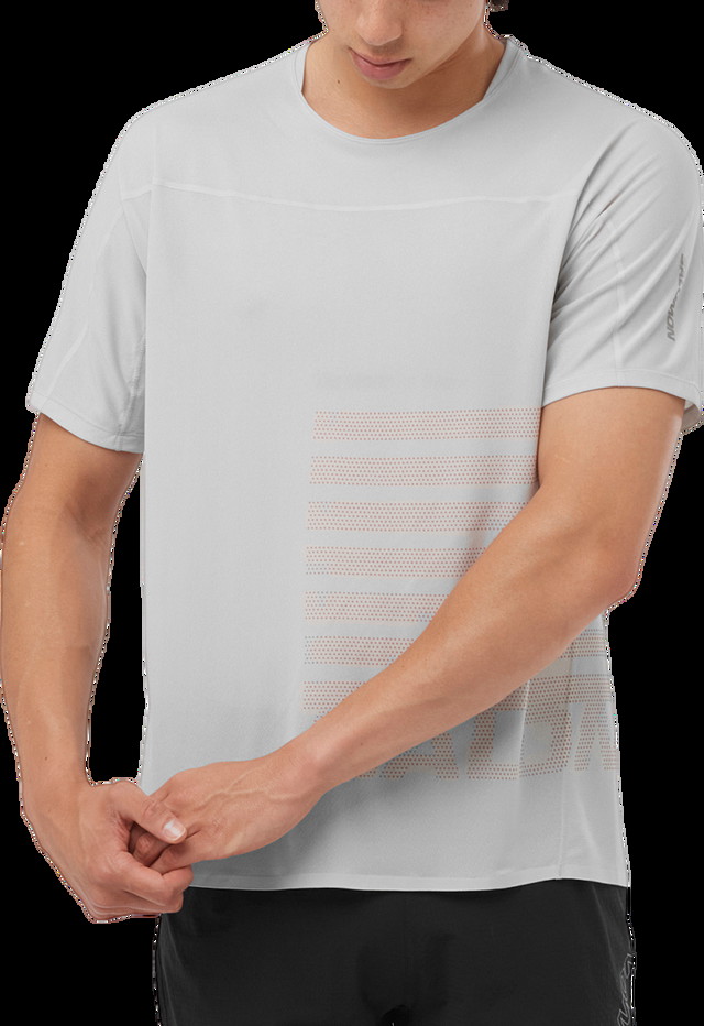 Póló Salomon SENSE AERO SS TEE GFX M Szürke | lc2188700