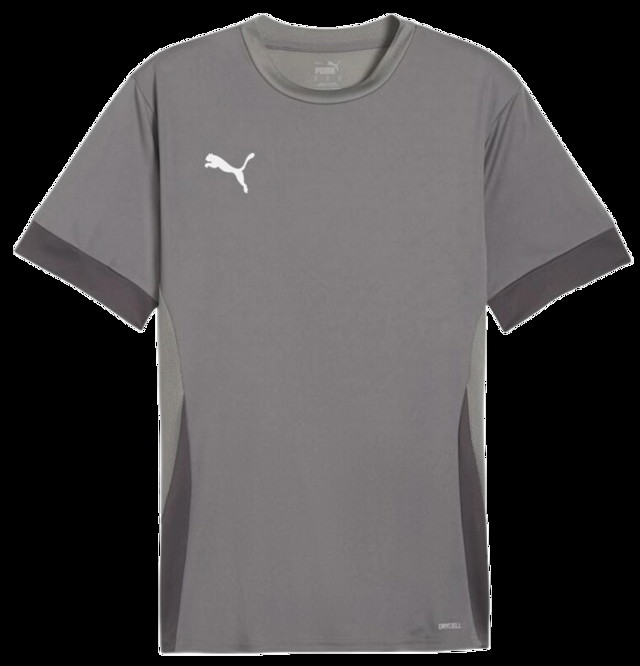 Sportmezek Puma teamGOAL Matchday Jersey Szürke | 705747-13