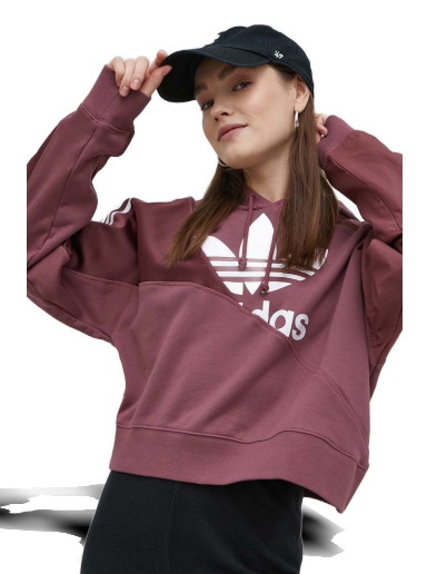 Sweatshirt adidas Originals Hoodie Orgona | HC7035