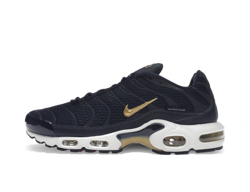 Sneakerek és cipők Nike Air Max Plus "FFF" Barna | FB3350-400