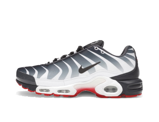 Sneakerek és cipők Nike Air Max Plus Before the Bite Szürke | AQ0237-100