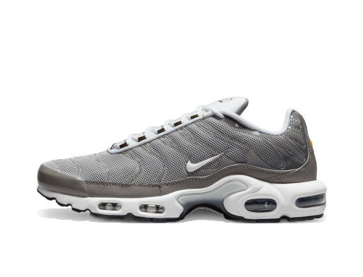 Sneakerek és cipők Nike Air Max Plus Szürke | DV7665-002