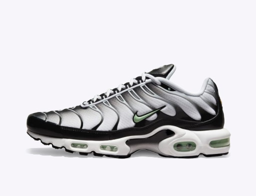 Sneakerek és cipők Nike Air Max Plus Fehér | DH4776-100