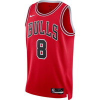 Dri-FIT NBA Chicago Bulls Icon Edition 2022/23 Swingman Jersey