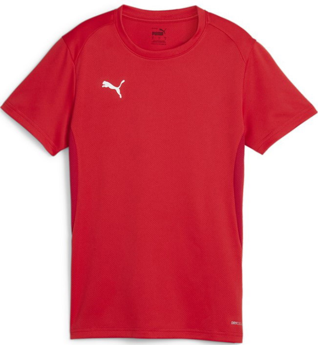 Sportmezek Puma teamGOAL Jersey W 
Piros | 658638-01, 0