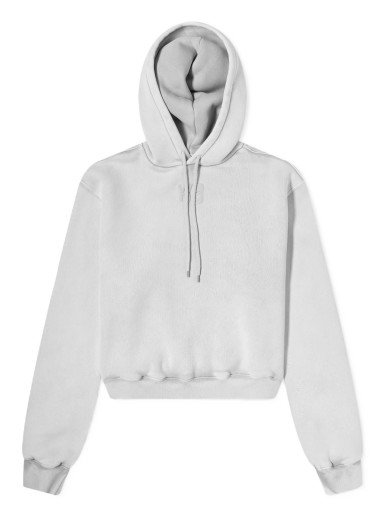 Sweatshirt Alexander Wang Essential Puff Paint Logo Hoody Szürke | 4CC3222069-078