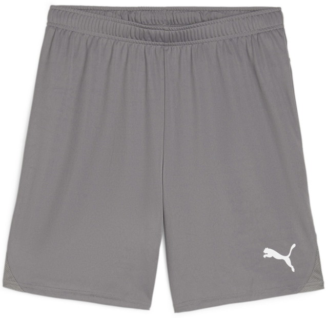 Rövidnadrág Puma teamGOAL Shorts Szürke | 705752-13