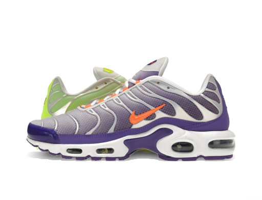 Sneakerek és cipők Nike Air Max Plus Color Flip Pack Grape Szürke | CI5924-531