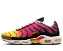 Air Max Plus